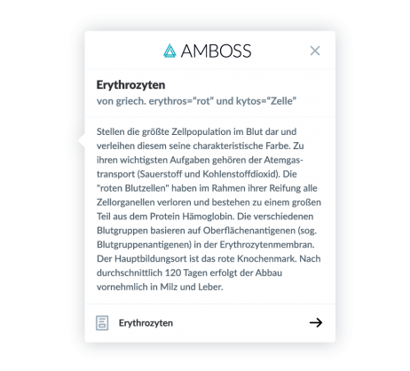 AMBOSS-Kurzdefinition in Anki-Lernkarten