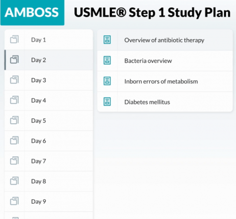 step 2 usmle study plan